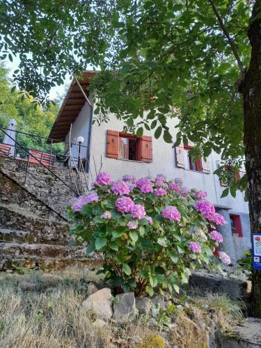 Valbrevenna Bed & Breakfast | StradaFacendo B&B