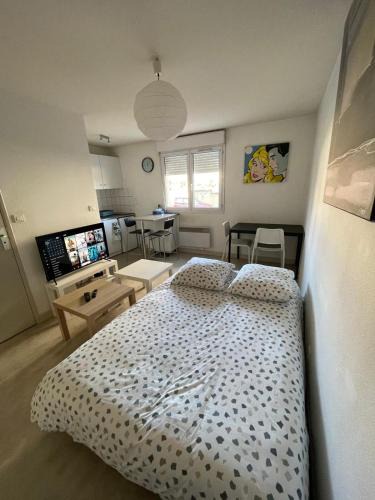 Clermont-Ferrand Apartment | Studio 20m2 parking 4rue proudhon wifi rdcsureleve