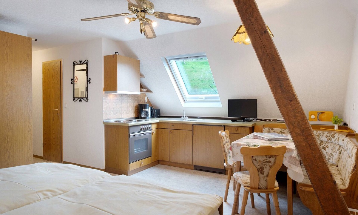 Oberharmersbach Apartment | Studio 7 with Mountain View, Barbecue Area and Wi-Fi