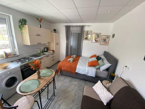 Prestranek Apartment | Studio Angelina