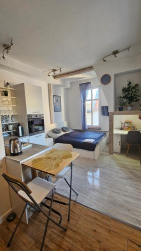 Bydgoszcz Apartment | Studio Apartment Blue