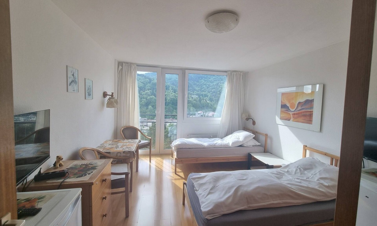 Bad Herrenalb Apartment | Studio Apartment for Contractors with Mountain View, Shared Pool and Wi-Fi