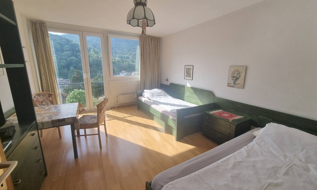 Bad Herrenalb Apartment | Studio Apartment for Contractors with Mountain View, Shared Pool and Wi-Fi