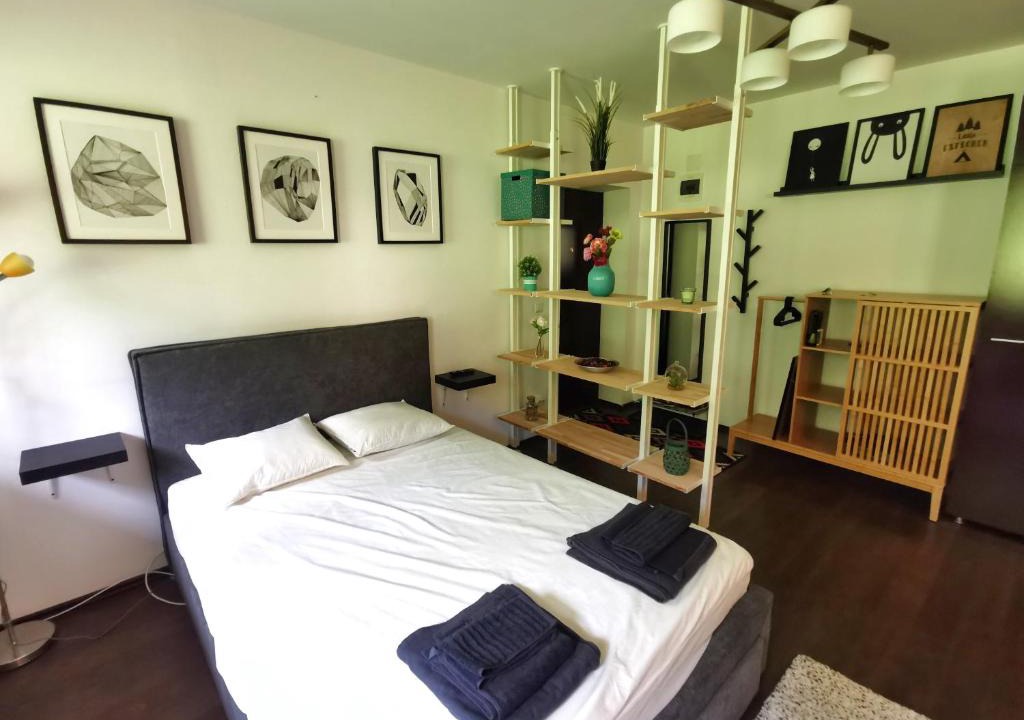 Azuga Apartment | Studio Azuga