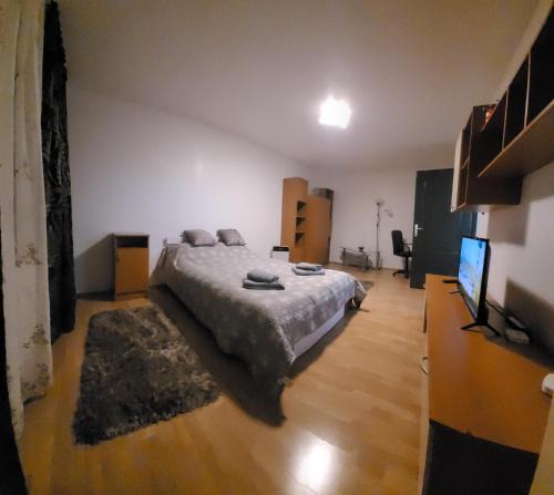 Singeorgiu de Mures Apartment | Studio BDN