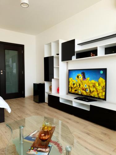 Piatra Neamt Apartment | Studio Central
