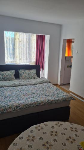 Arad Apartment | Studio Chic Symphony parcare privata