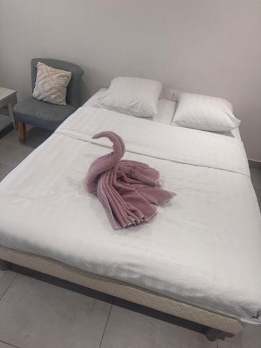 Montceau-les-Mines Apartment | Studio en centre ville