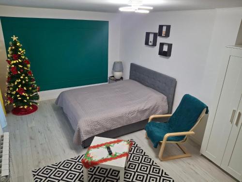 Toplita Apartment | Studio F13