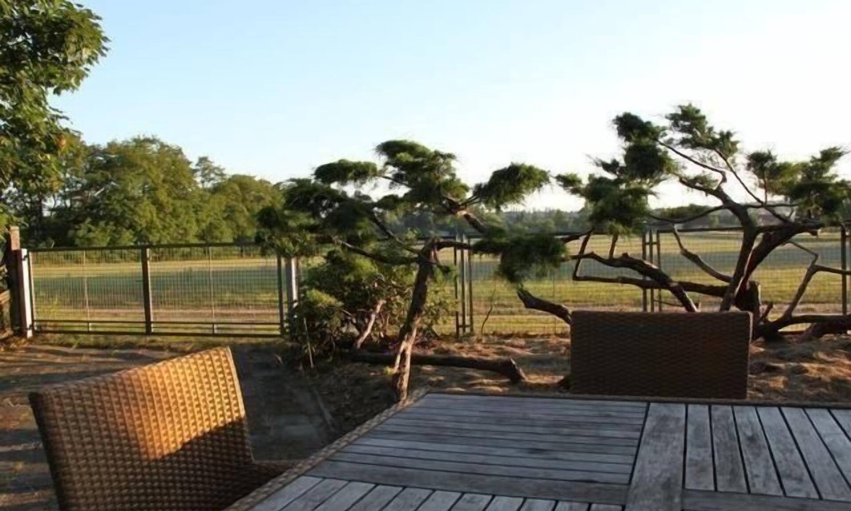 Jessern House | Studio flat "Haus am Feld 2"