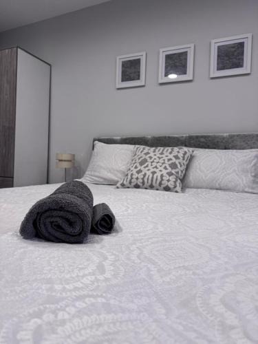 Solihull Apartment | studio flat near NEC, Solihull & Airport. Short & Long stay Contractors HS2, NHS
