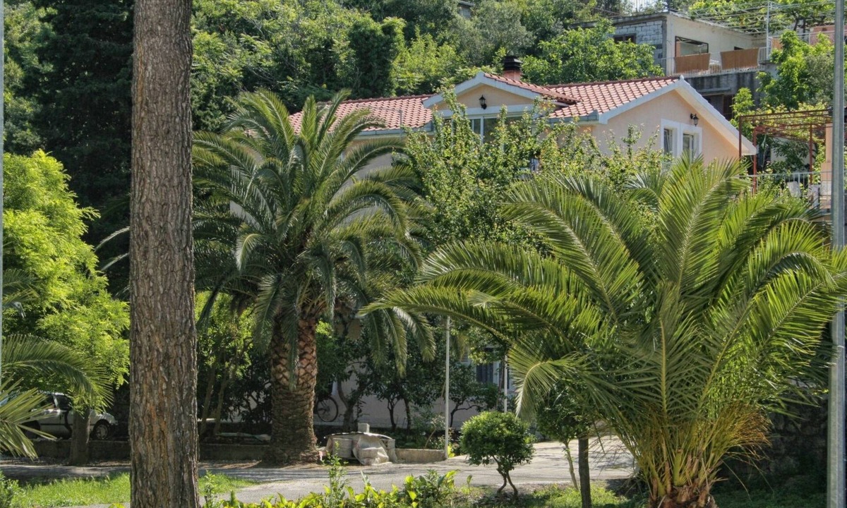 Trpanj Apartment | Studio flat with terrace Trpanj, Pelješac (AS-257-a)