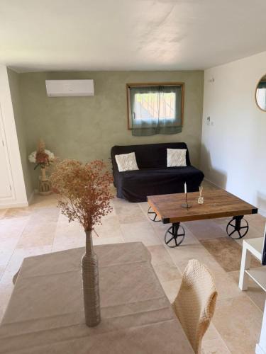 Chateau-Arnoux-Saint-Auban Apartment | Studio avec terrasse et parking privé