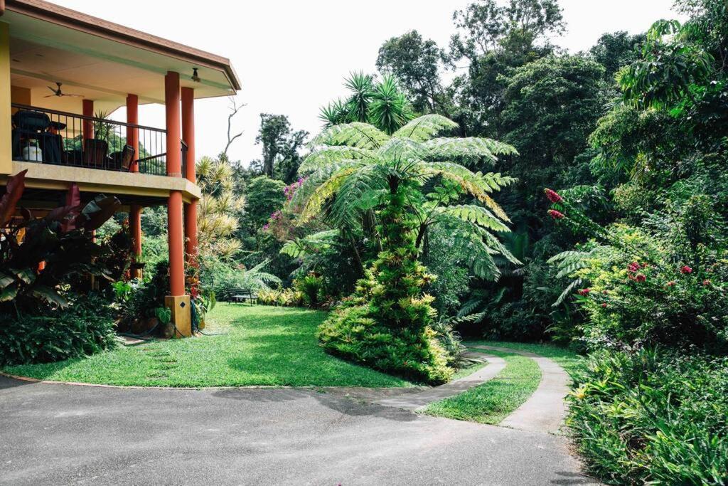 Kuranda Apartment | Studio in the Rainforest