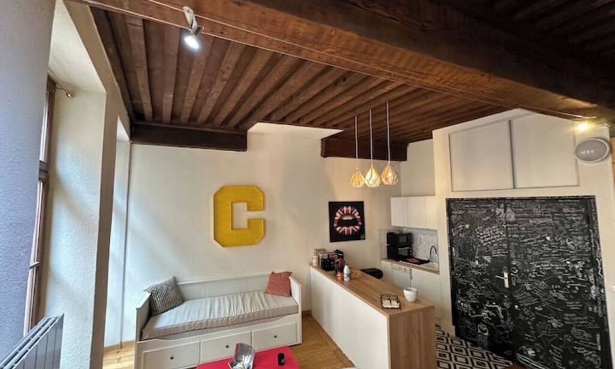 Old Lyon Apartment | Studio Le Cocon de Jacquard * WIFI