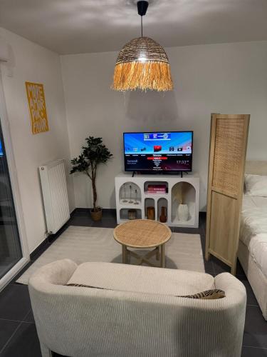 Gex Apartment | Studio Leman Ciel avec parking privé gratuit