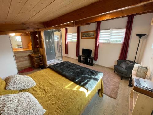 Marssac-sur-Tarn Apartment | Studio meuble