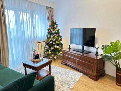 Alba Iulia Apartment | Studio PANORAMIC with Balcony and Parcul Unirii view