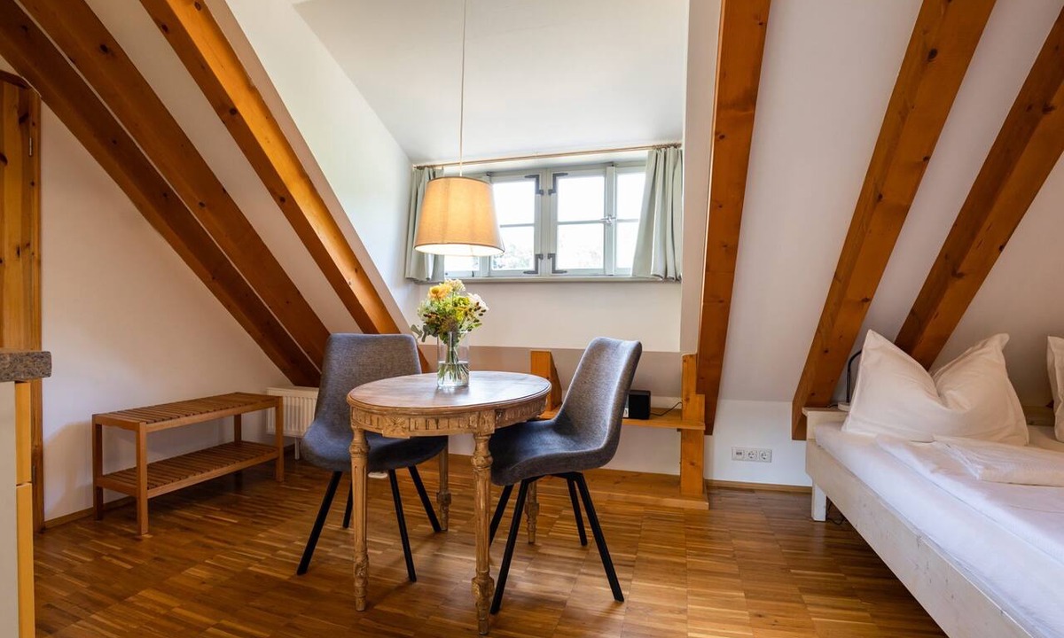 Oberloßnitz Apartment | Studio-Private Bathroom-Vineyard view-Nr. 2