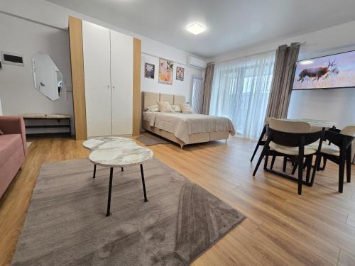 Piatra Neamt Apartment | Studio S23