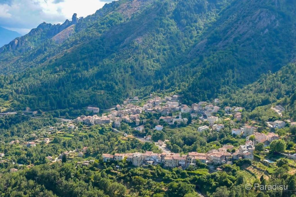 Guiselle Apartment | Studio Venaco Centre Corse