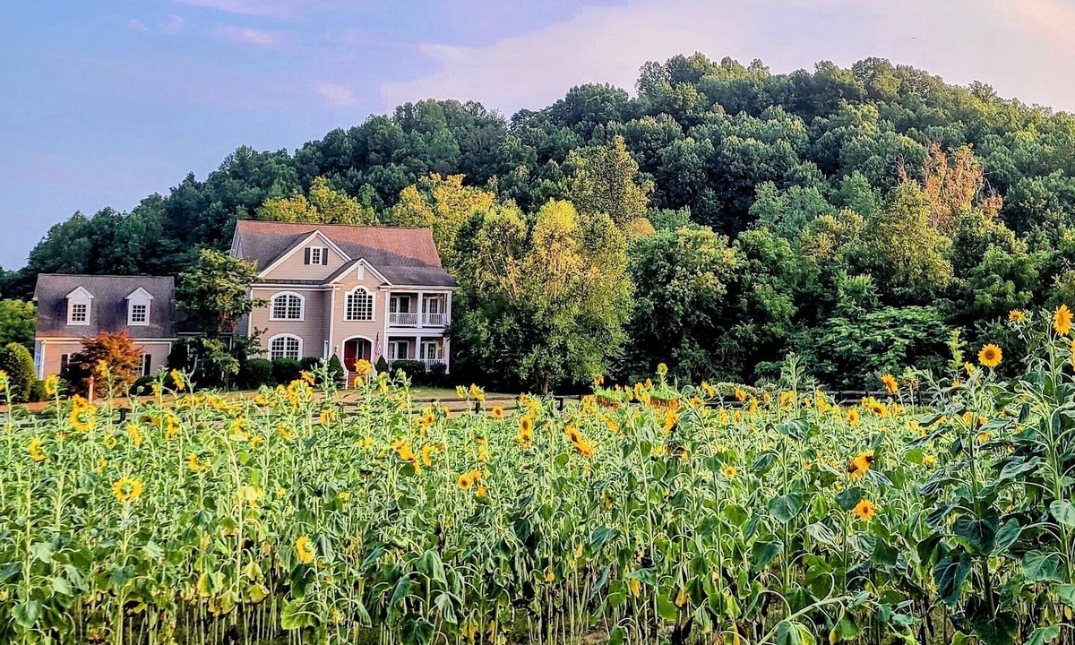 Afton Apartment | Studio with mountain views and private entrance near wineries and hiking