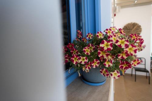 Lipsoi Apartment | Studios Angela Port