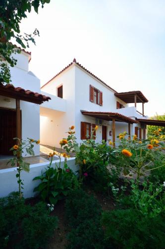 Marathokampos Apartment | Studios Calvinos