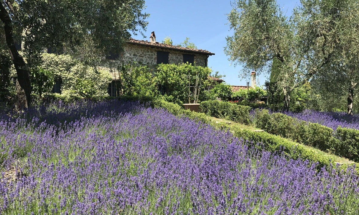 Villabuona Villa | Stunning private villa with private pool, WIFI, TV, patio and panoramic view, close to Lucca