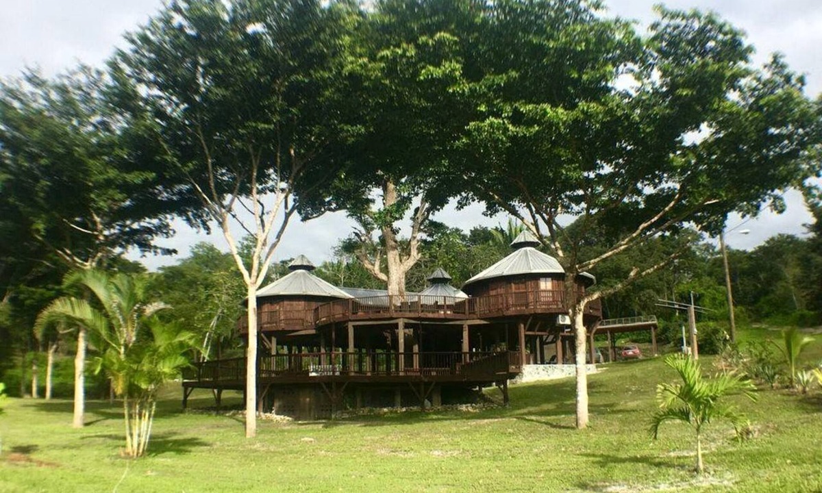 Bullet Tree Falls Cabin | Stunning Tree House with Private Pool Surrounded by Nature in Cayo District, Belize