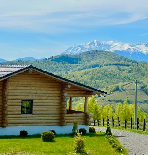 Vulcan Ski Chalet | Sub Stele Chalets