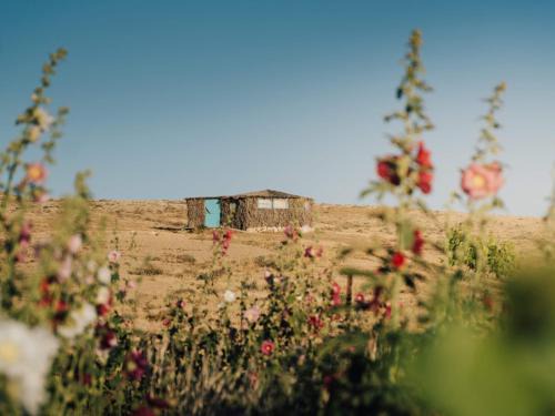Mitzpe Ramon Cabin | Succah in the Desert