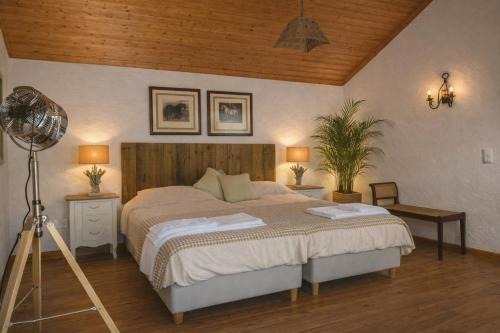 Santiago do Cacem Bed & Breakfast | Suite no campo