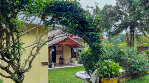 Bohorok House | Sumatra Cheeky Monkeys