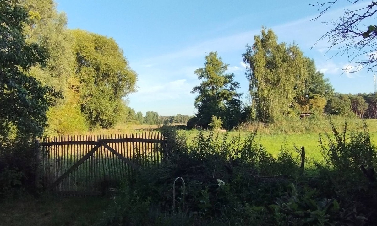 Nuthe-Urstromtal House | Summer barn with lots of nature