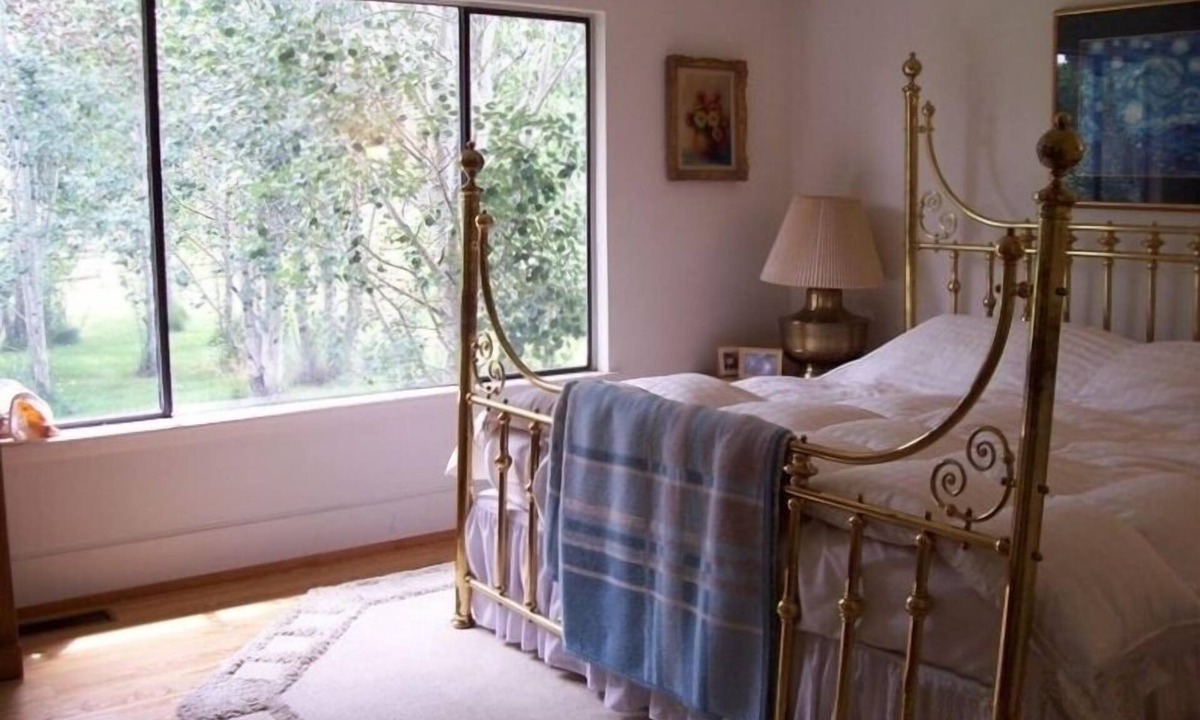 Carbondale House | Summer special! Cozy 4 Bedroom Mountain Retreat