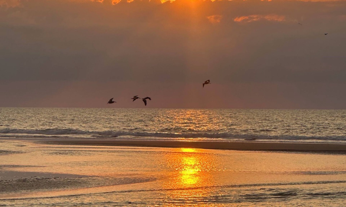Myrtle Beach House | Summer Weeks Still Available. Beautiful 2 Story Townhome. Half Block From Beach.