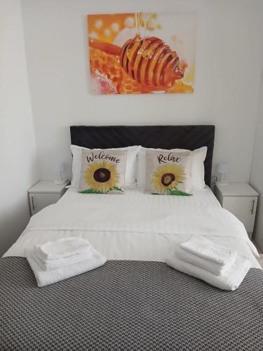 Onesti Apartment | Sun Studio Onești