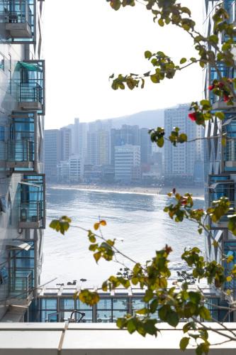 Suyeong-Gu Apartment | Sunny Home