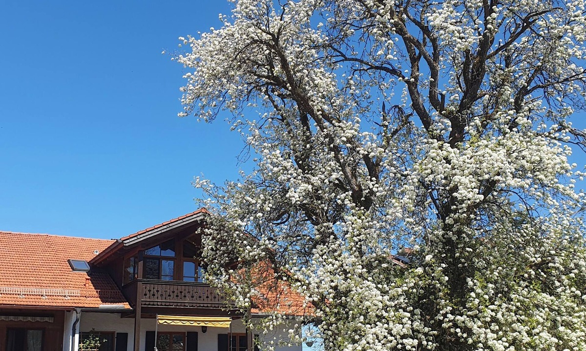 Greiling Apartment | Sunny top-floor apartment with panoramic balcony & mountain views