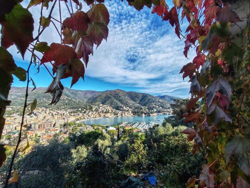 Rapallo Villa | Sunrise
