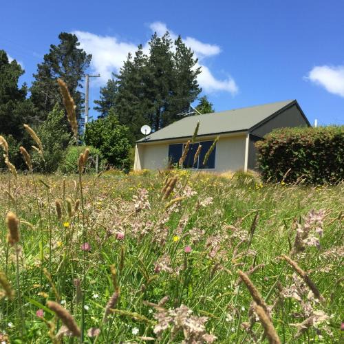 Springfield Cabin | Sunrise Mountain View Cabin Retreat