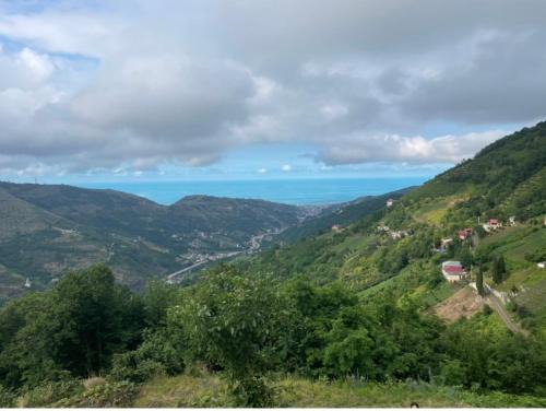 Akcaabat House | Sunset House Trabzon