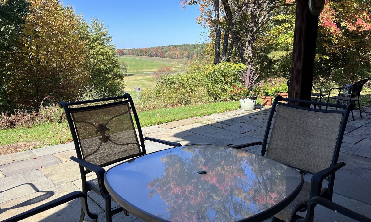 Oneonta Apartment | Sunset Ridge - Cozy lower level apartment, easy drive to ASV