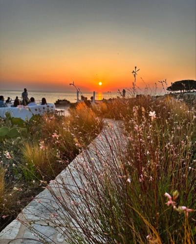 Antiparos Hotel | Sunset Studios & Rooms