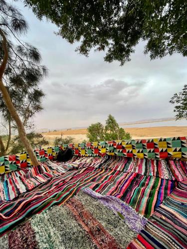 Siwa Other | Sunset Tree Camp
