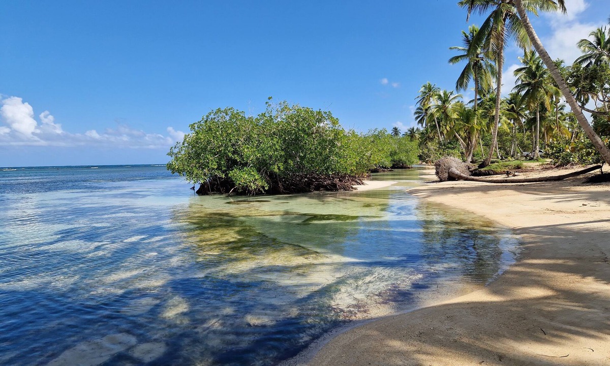 Las Terrenas Villa | Sunset Villa with Infinity Pool