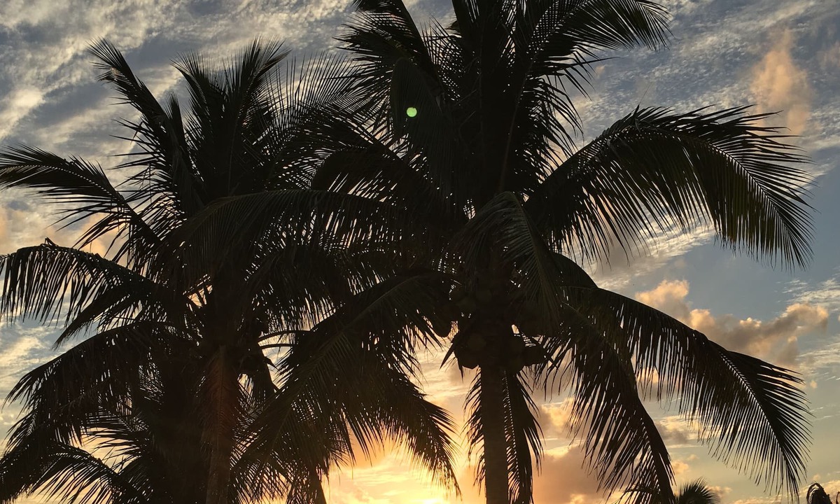 Bahamas Terrace Condo | Sunsets and sunshine. Bahamas Paradise 🏝🇧🇸💗