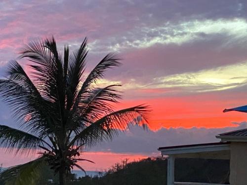 St. John's Apartment | Sunsets & Views
