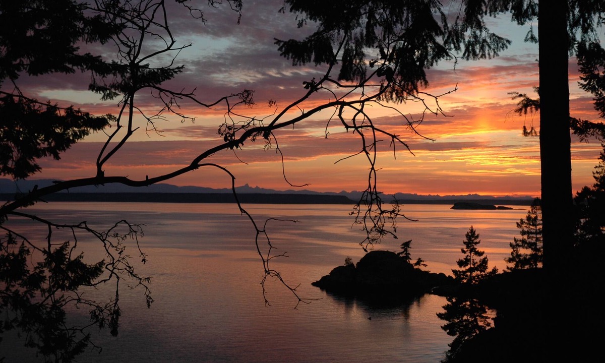Lund House | Sunshine Coast Gem : Close to Savary Island with conveniences of the Mainland